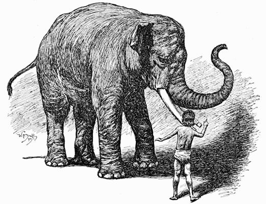 "'HE IS AFRAID OF ME,' SAID LITTLE TOOMAI, AND HE MADE KALA NAG LIFT UP
HIS FEET ONE AFTER THE OTHER."