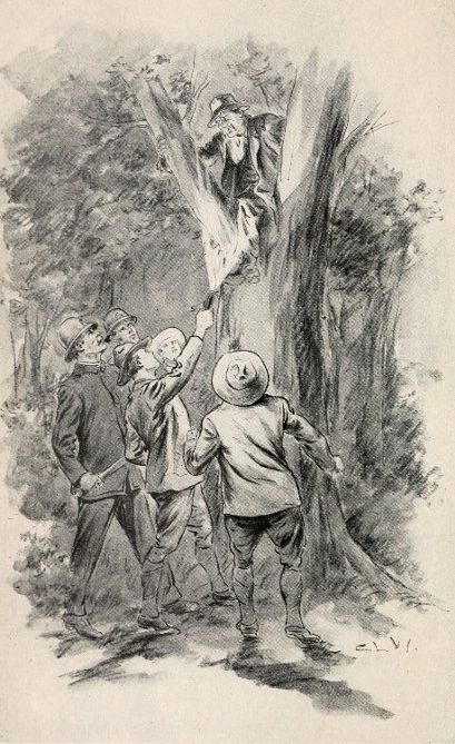 Don't shoot gents! called the man who was in the crotch of an oak tree.&mdash;(Page 59.)