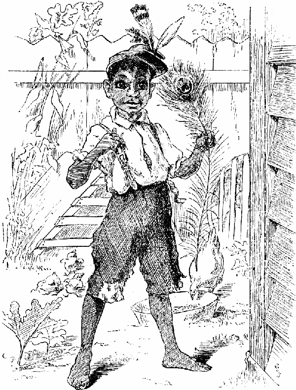 "Miss Mamie Sez Dese Are 'Highly Cullud.'—i'd Like To
Know Ef Dey're Any Mo' Highly Cullud Dan I Am!"