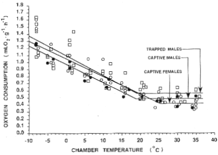 summer - oxygen consumpsion vs air temp
