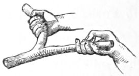 How to hold a divining rod