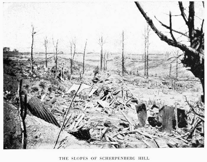 THE SLOPES OF SCHERPENBERG HILL