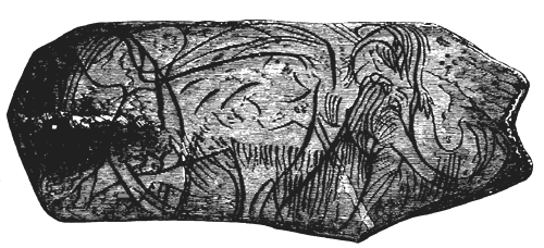 Sketch of a Mammoth, carved
  on a portion of a Tusk of the same Animal.