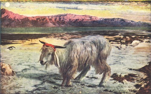 PLATE V.&mdash;THE SCAPEGOAT