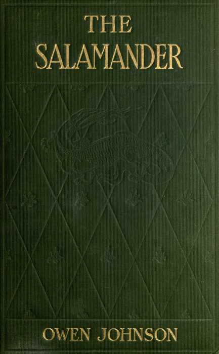 The Project Gutenberg eBook of The Salamander, by Owen Johnson.
