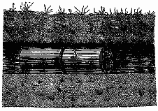 Fig. 13.—Pige  taupes usit dans la Bavire rhnane.