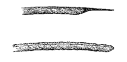 Fig. 44. Primary wing-feather of a
Humming-bird, the Selasphorus platycercus
(from a sketch by Mr. Salvin).
Upper figure, that of male; lower
figure, corresponding feather of female.
