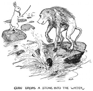 Gudu drops a stone into the water