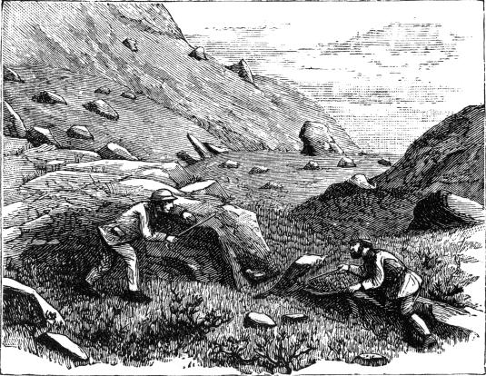Ola and Andreas capturing a wounded Grouse
