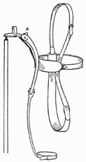 Fig. 59.—The Harness