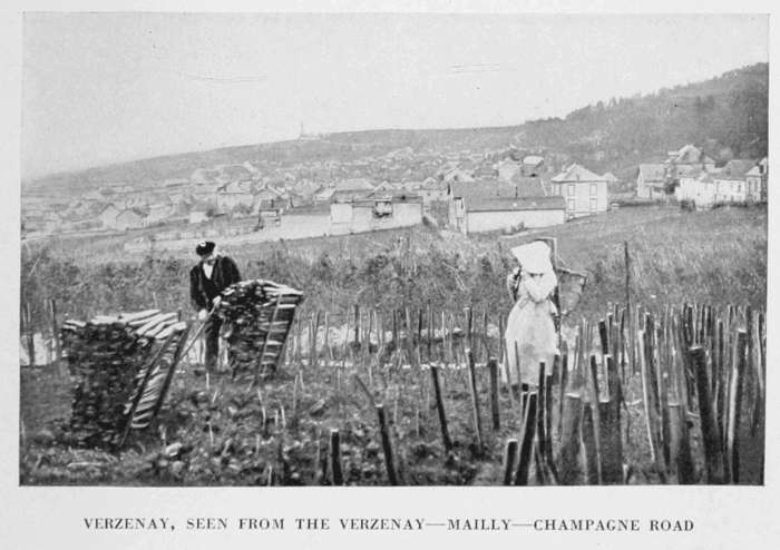 VERZENAY, SEEN FROM THE VERZENAY—MAILLY—CHAMPAGNE ROAD