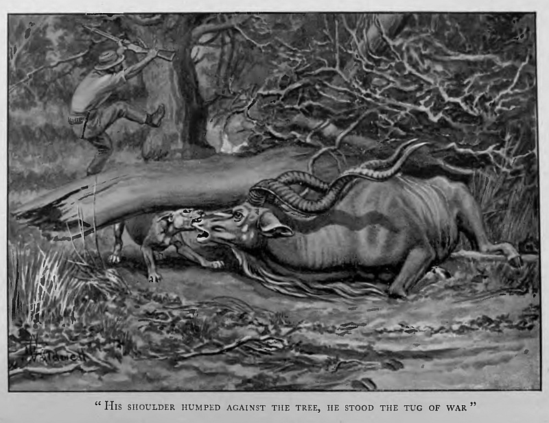 Jock of the Bushveld, by Sir Percy FitzPatrick