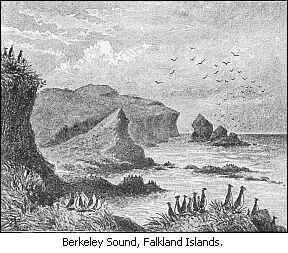 Berkeley Sound, Falkland Islands.