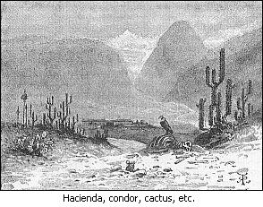 Hacienda, condor, cactus, etc.