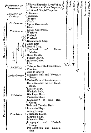 Table Of The Principal Fossiliferous Strata Arranged In Chronological Order.