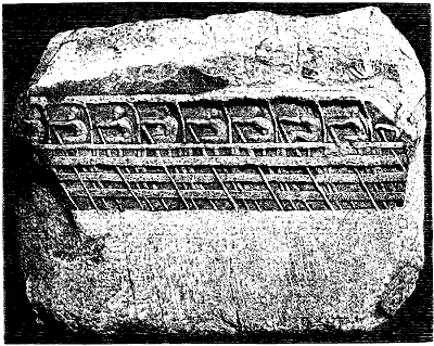 Ancient Greek Rowing Boat