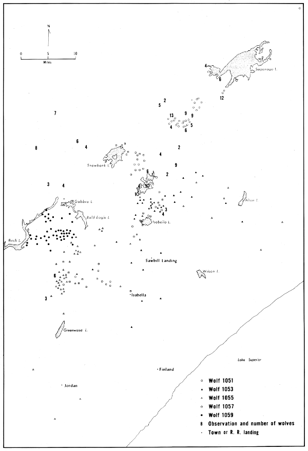 Figure 35.—Locations of all radiotagged wolves and unmarked packs observed
during winter 1968-69, except dispersal of 1051 out of the study area.
Only selected lakes shown.