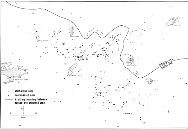 Figure 1.—The study area showing locations where wolf-killed and hunter-killed
deer were taken. Line arbitrarily separates the hunted area from
the wilderness area.