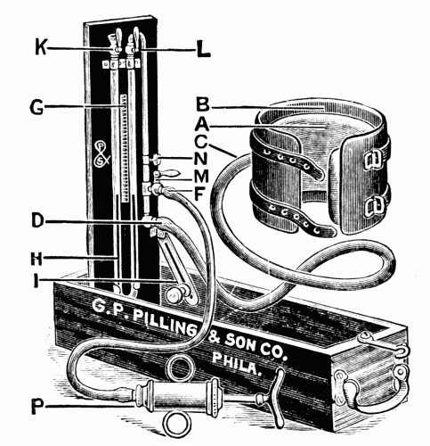Fig. 17.—The Faught blood pressure instrument. An excellent instrument which is
quite easily carried about and is not easily broken.