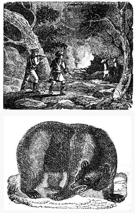Hunters shooting at deer and a drawing or a bear