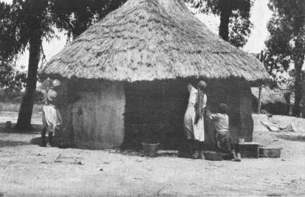 Hut Built by H. Frances Davidson and Alice Heise
at Matopo.