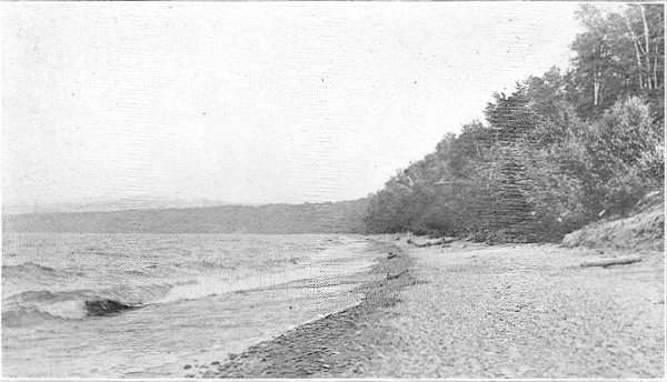 Fig. 1. Beach of Lake Superior just east of Little
Girl's Point. A dirt bluff at the right of the picture. August 10,
1920.