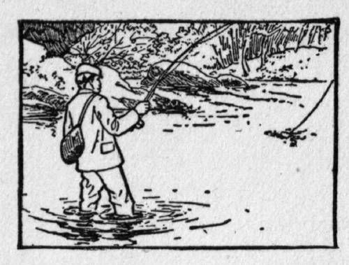 The Project Gutenberg eBook of The Determined Angler and the Brook