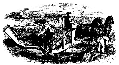THE VIRGINIA REAPER.

Exhibited at the Crystal Palace, and the New-York State Agricultural Fair,
by Cyrus H. McCormick.