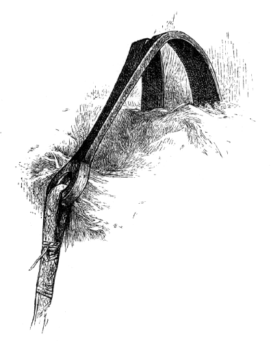Illustration: Climbing claw
