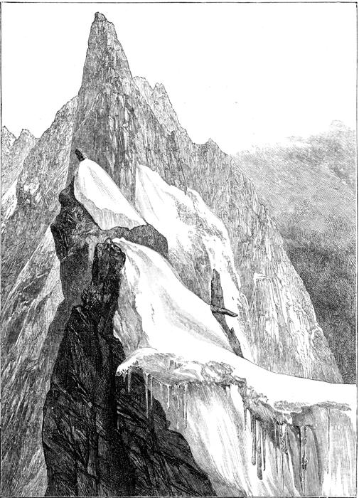 Illustration: The summit of the Col Dolent