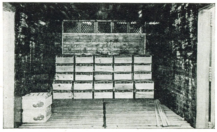 Figure 23.—Lug boxes as loaded in car.