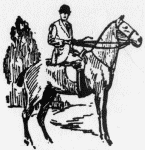 man on horse