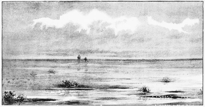 Plate XVI.

THE SPANISH WILD CAMELS—OUR FIRST SIGHT OF A PAIR IN THE MARISMA.

Page 94.