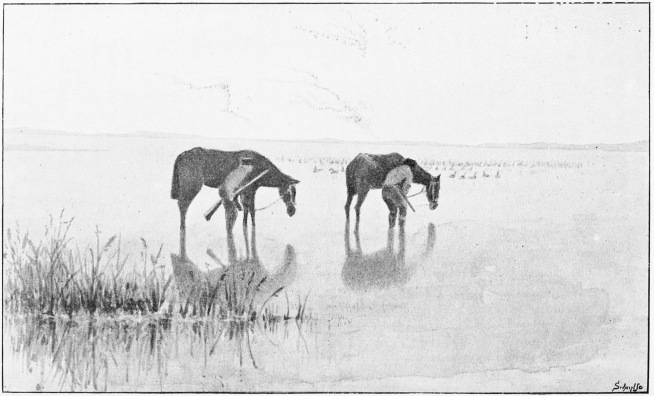 Plate XLII.

SPANISH WILDFOWLERS WITH CABRESTO PONIES.

Page 365.