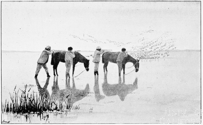 Plate XLVI.

WILDFOWLING WITH CABRESTOS. No. 2.—THE SHOT.

Page 374.