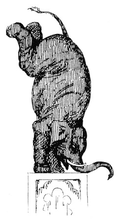 "When the Elephant stands upon his Head, does he
himself know whether he is standing upon his
Head or his Heels?" "George Cruikshank's
Magazine," February 1854.