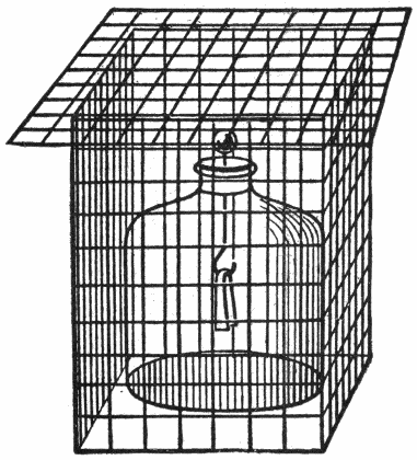 Electroscope within wire cage.