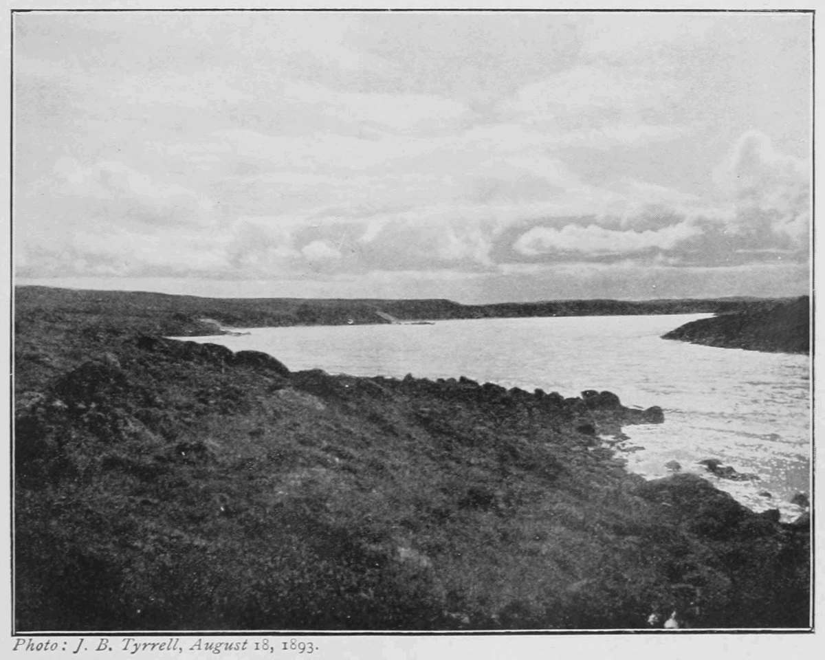 Wollaston Beach Tide Chart