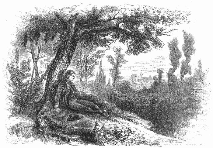 Napoleon sitting under a tree, contemplating.
