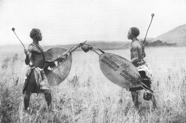 Centuries-old Zulu tradition of Stick-Fighting is today helping South  Africa to curb gang violence. Here's why - Face2Face Africa