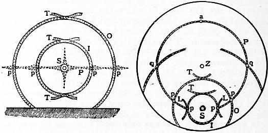 The Project Gutenberg eBook of Encyclopædia Britannica, Volume XII