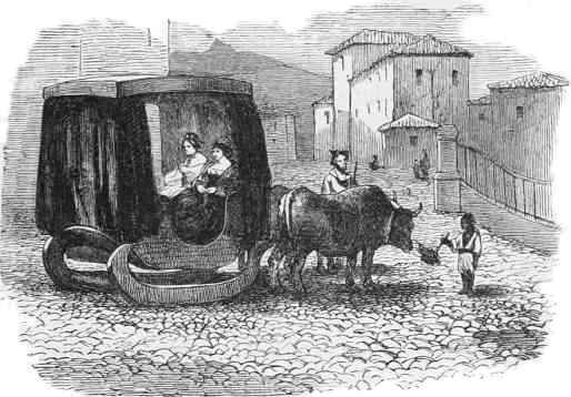 Instead of a carriage on wheels, a
carriage on wooden runners drawn by oxen over the snow-less cobblestone streets.