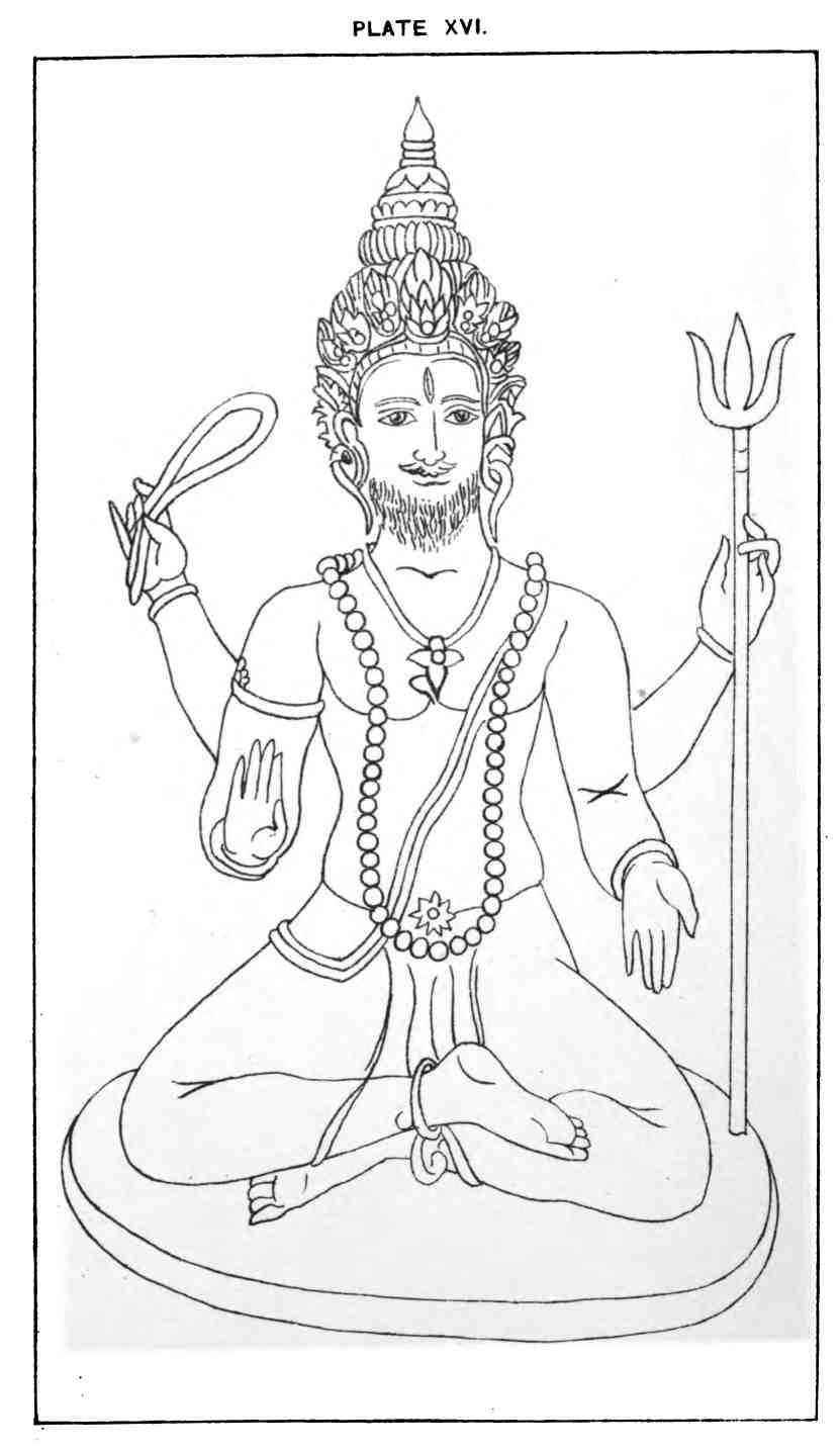 Plate Xvi. 101