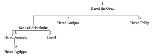 Family tree of descendents of Herod the Great
