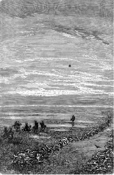 ... onder anderen een vrij belangrijken weg,—dien van Carmen naar
Mendoza,—die kenbaar was aan de beenderen van huisdieren,...