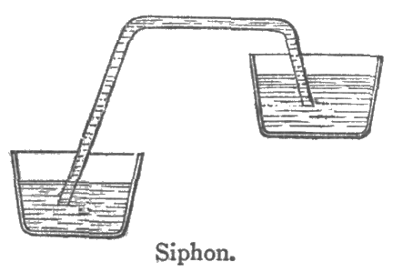 Siphon.