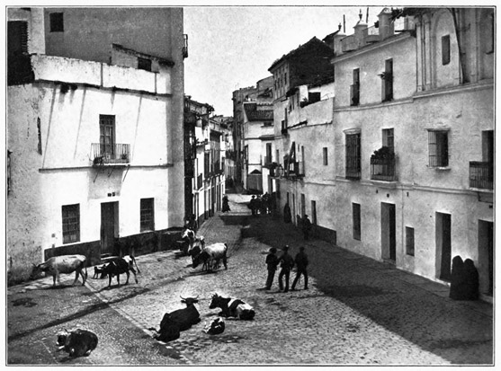 A Seville Street