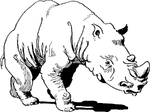 [Illustration: Rhino]