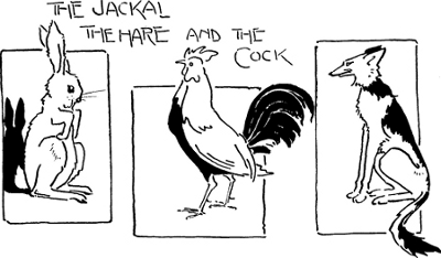 [Illustration: The Jackal, the Hare and the Cock]