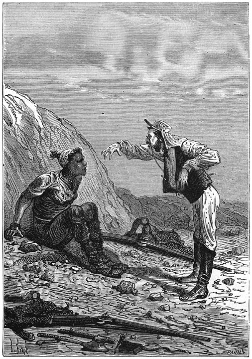 Die zwerm insecten deed hem opvliegen. Bladz. 176.